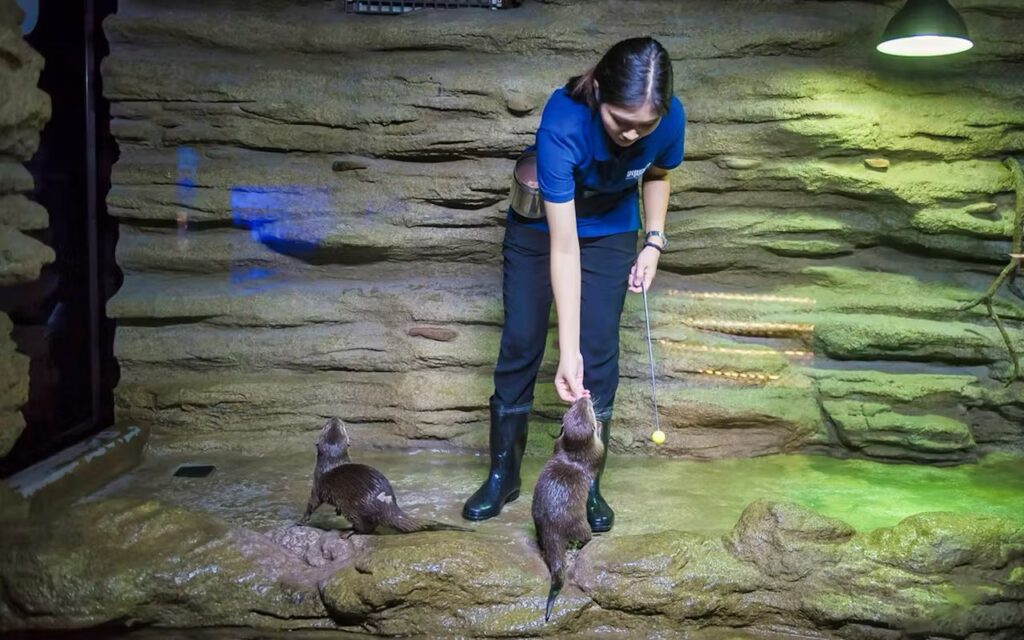 central phuket aquarium