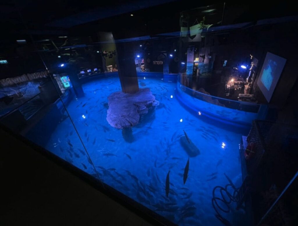 aquaria phuket price