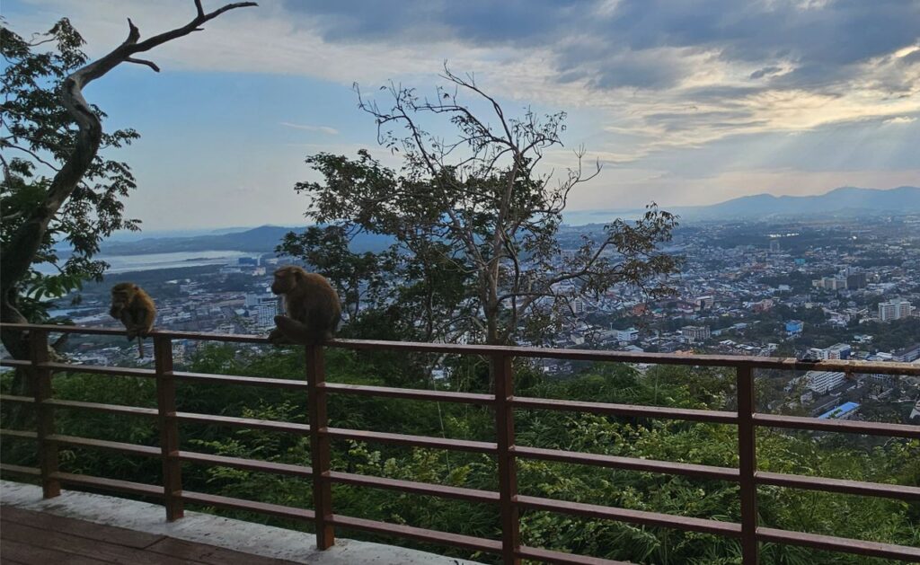 best viewpoints in phuket