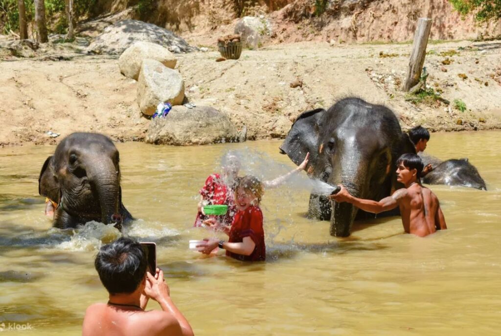elephants sanctuary phuket