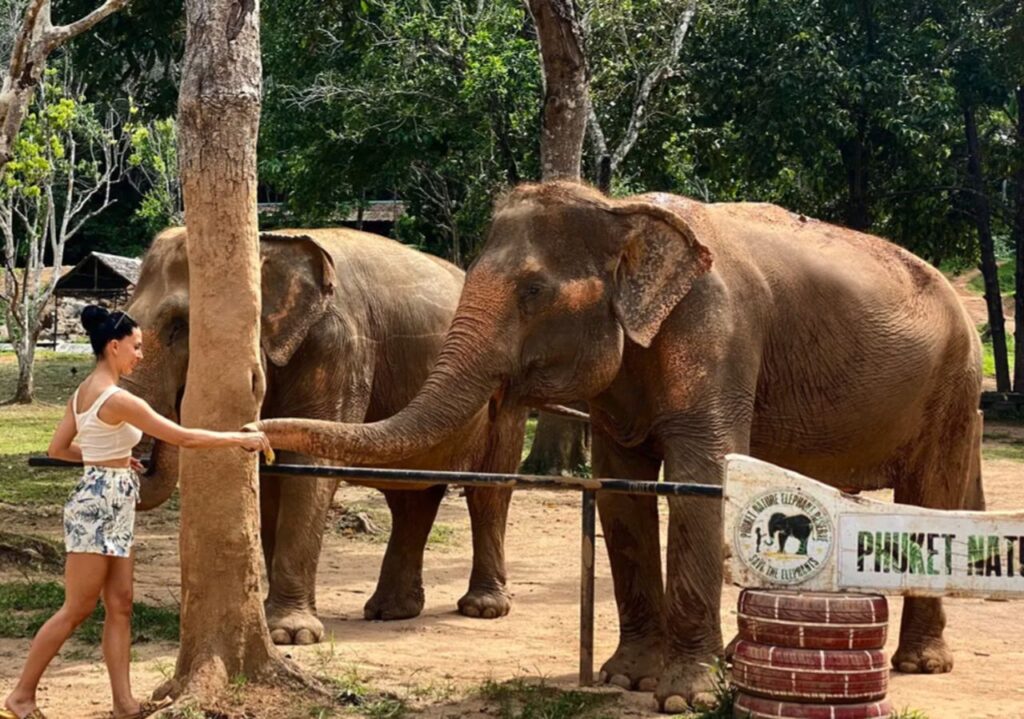best phuket elephant sanctuary