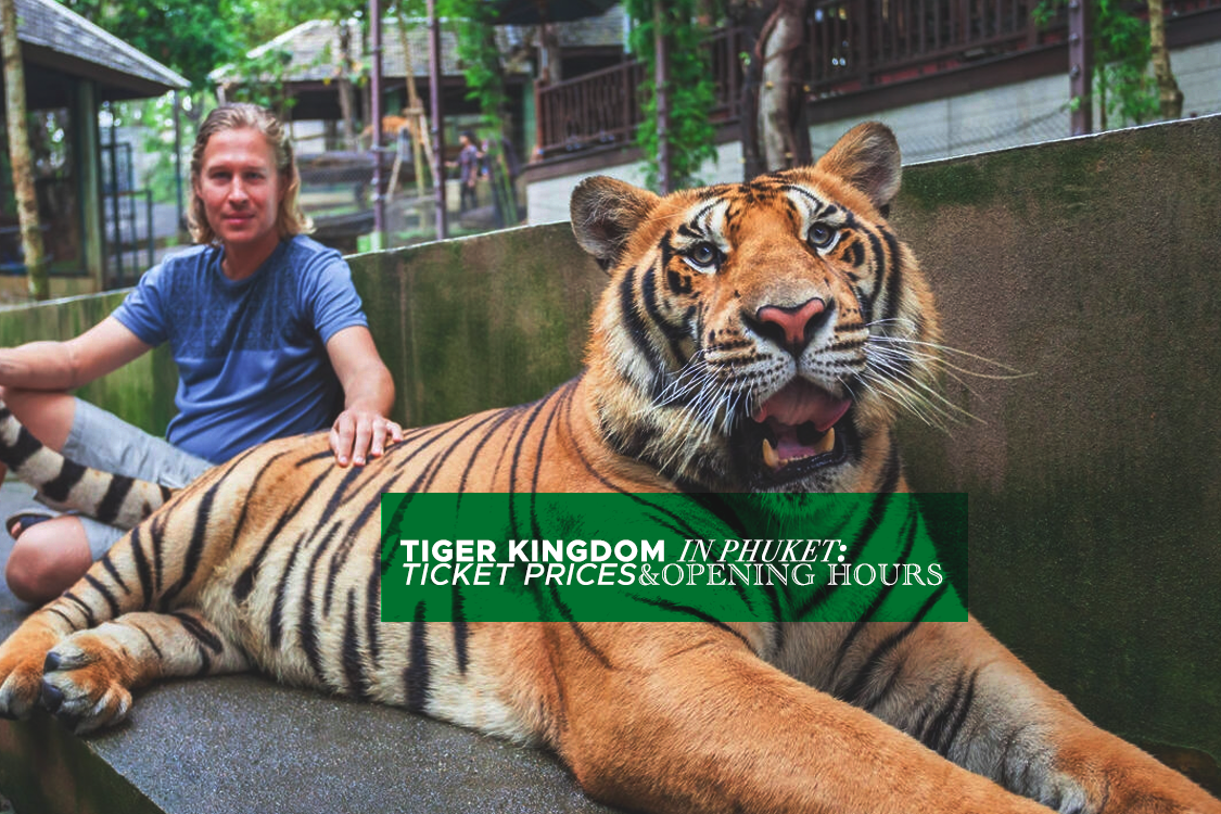 tiger park in phuket