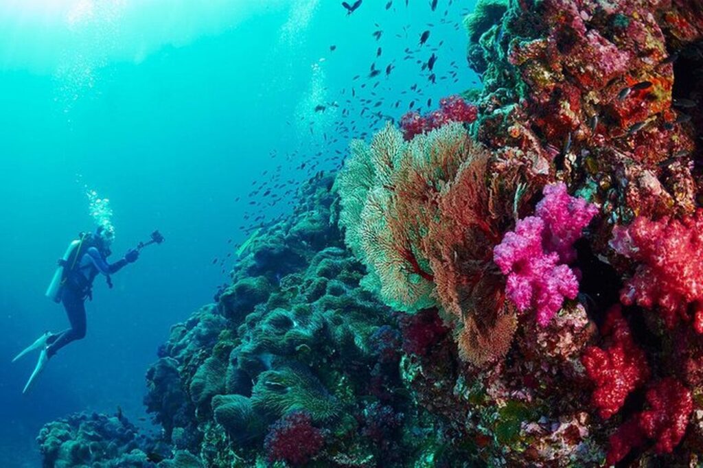 best dive sites in phuket thailand