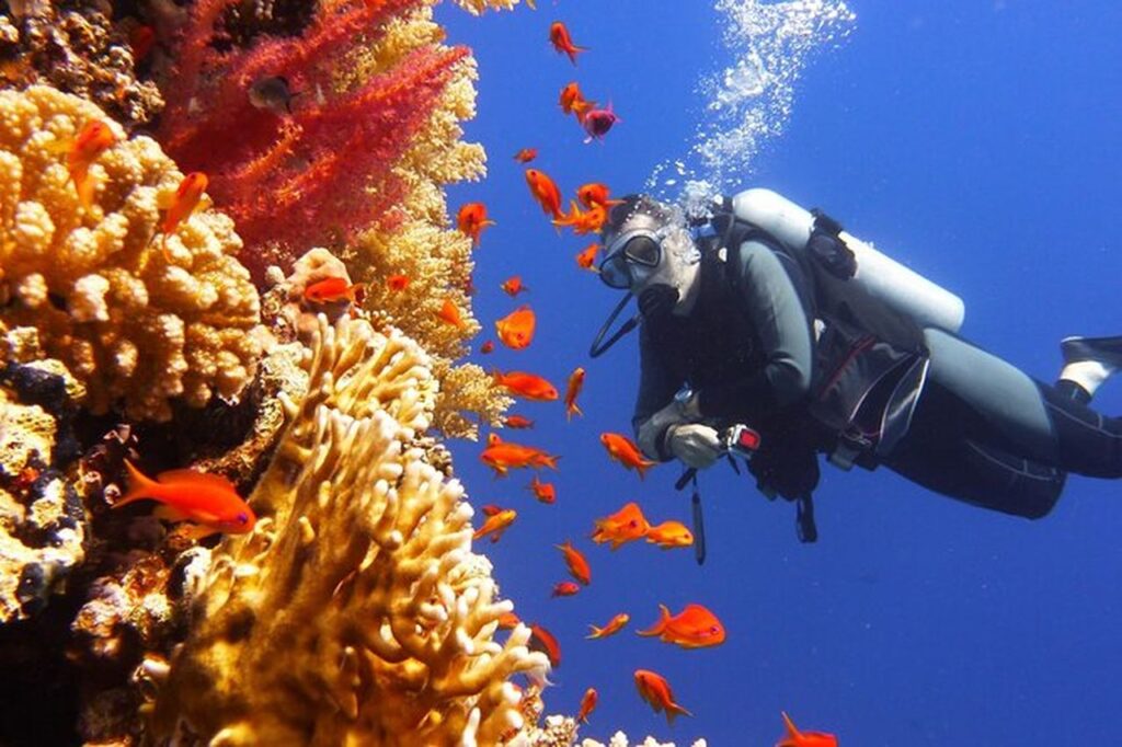 best places to dive in phuket