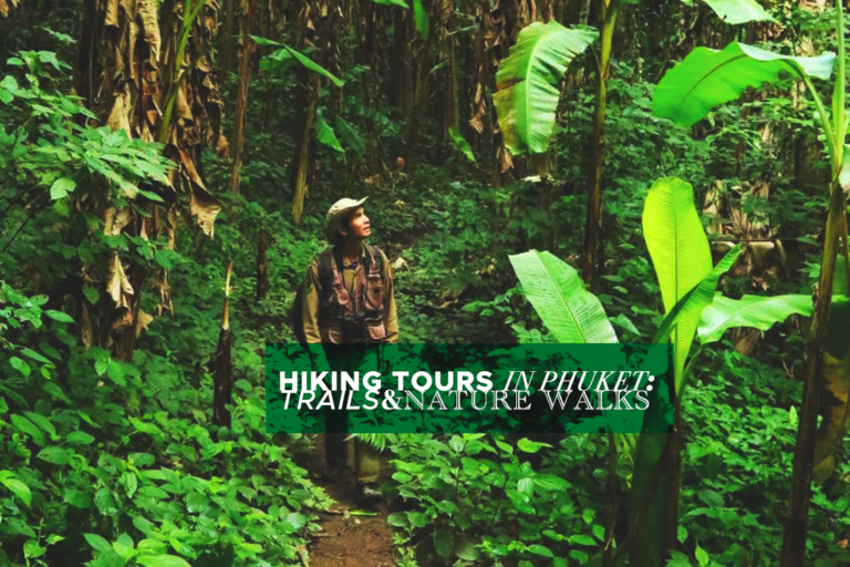 Hiking Tours in Phuket: Trails & Nature Walks 2024